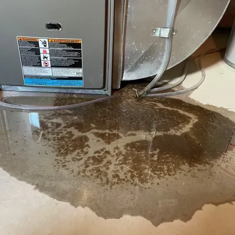 Appliance Leak Cleanup in Bloomington, IL